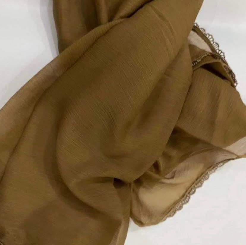 Georgette  lace duppatta