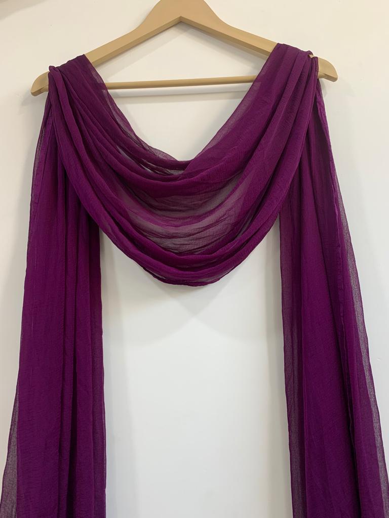 Georgette  lace duppatta